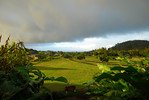 85 Uakoko Place, Haiku : Main house on 2 acres.