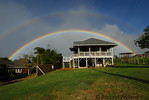 Maui on my mind : 